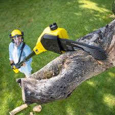 Lawn Pest Prevention in Goodwater, AL